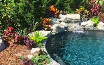 The Secret to Making Swimming Pools Look Like Ponds