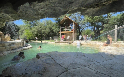 Treehouse with Pool Cave: The Ultimate Pool Idea for Backyards