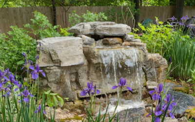 Transform Your Pond into a Tranquil Paradise with RicoRock’s 3 Foot Modular Waterfall Kit